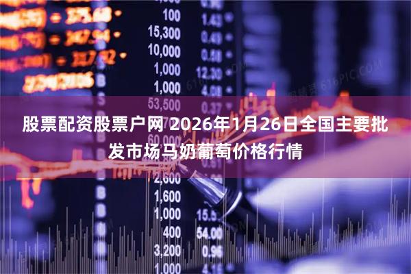 股票配资股票户网 2026年1月26日全国主要批发市场马奶葡萄价格行情